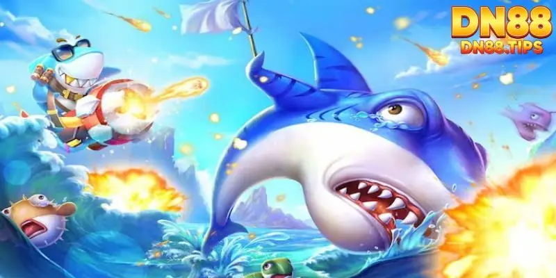 Những Lưu Ý Khi Tìm Hiểu