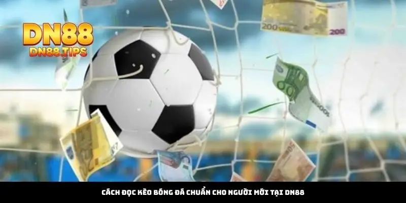 Cách Đọc Kèo Bóng Đá Chuẩn Cho Người Mới Tại DN88