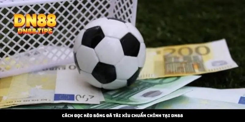 Cách Đọc Kèo Bóng Đá Tài Xỉu Chuẩn Chỉnh Tại DN88
