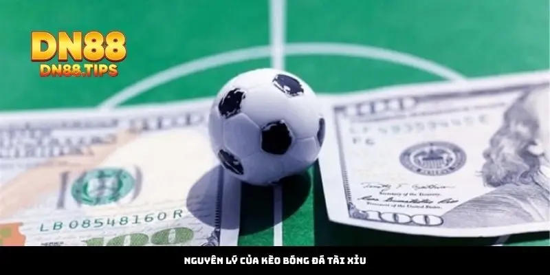 Nguyên Lý Của Kèo Bóng Đá Tài Xỉu