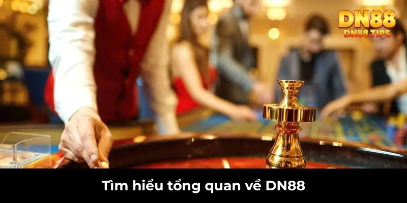 tìm hiểu tổng quan về dn88