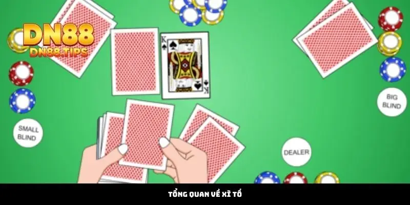 Tổng Quan Về Xì Tố